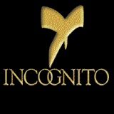 Icognito Creative: Colorado Springs Design Agency